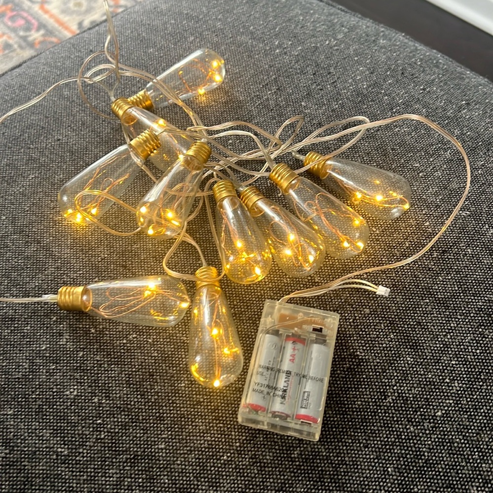 Apothecary battery operated- string lights (19 bulbs)